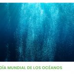 día mundial de los océanos